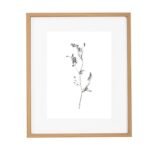 QUADRO BOTÂNICO MINIMALISTA EM MDF E VIDRO